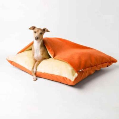 DogHaven™ - Orange - Univers de chien